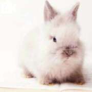 ヒメ日記 2025/09/11 07:15 投稿 花野いろは コウテイ