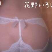 ヒメ日記 2025/09/11 20:15 投稿 花野いろは コウテイ