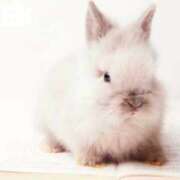 ヒメ日記 2025/09/13 07:13 投稿 花野いろは コウテイ