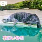 ヒメ日記 2025/09/13 15:05 投稿 花野いろは コウテイ