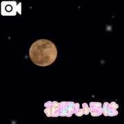 ヒメ日記 2025/09/14 15:10 投稿 花野いろは コウテイ