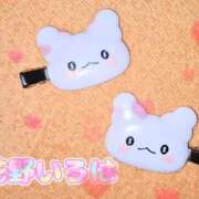 ヒメ日記 2025/09/20 15:15 投稿 花野いろは コウテイ