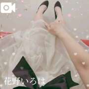 ヒメ日記 2025/09/23 09:20 投稿 花野いろは コウテイ