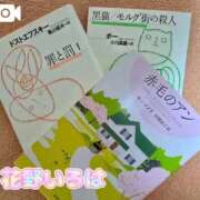 ヒメ日記 2025/09/23 18:05 投稿 花野いろは コウテイ