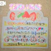 ヒメ日記 2025/09/24 09:20 投稿 花野いろは コウテイ