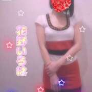 ヒメ日記 2025/10/16 09:16 投稿 花野いろは コウテイ