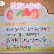 ヒメ日記 2025/10/22 09:15 投稿 花野いろは コウテイ