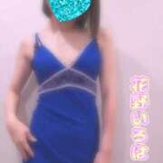 ヒメ日記 2025/11/08 09:16 投稿 花野いろは コウテイ