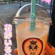 ヒメ日記 2025/11/08 15:15 投稿 花野いろは コウテイ