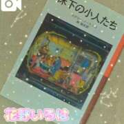 ヒメ日記 2025/11/10 15:18 投稿 花野いろは コウテイ