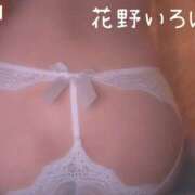 ヒメ日記 2025/11/10 20:15 投稿 花野いろは コウテイ