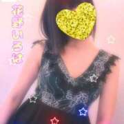 ヒメ日記 2025/11/13 12:16 投稿 花野いろは コウテイ