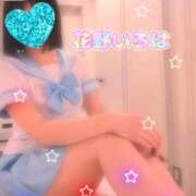 ヒメ日記 2025/11/15 10:15 投稿 花野いろは コウテイ