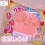 ヒメ日記 2025/11/16 15:05 投稿 花野いろは コウテイ