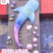 ヒメ日記 2025/11/16 18:19 投稿 花野いろは コウテイ