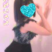 ヒメ日記 2025/11/17 17:15 投稿 花野いろは コウテイ