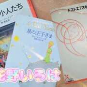 ヒメ日記 2025/11/18 21:16 投稿 花野いろは コウテイ
