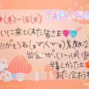 ヒメ日記 2025/11/19 09:15 投稿 花野いろは コウテイ