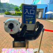 ヒメ日記 2025/12/06 18:18 投稿 花野いろは コウテイ