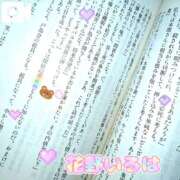 ヒメ日記 2025/12/08 15:05 投稿 花野いろは コウテイ