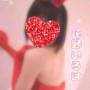 ヒメ日記 2025/12/10 10:20 投稿 花野いろは コウテイ