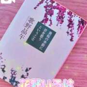 ヒメ日記 2025/12/10 15:19 投稿 花野いろは コウテイ