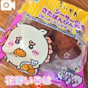 ヒメ日記 2025/12/15 12:15 投稿 花野いろは コウテイ