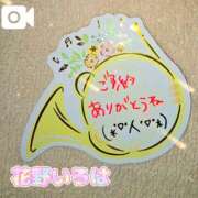 ヒメ日記 2025/12/25 21:25 投稿 花野いろは コウテイ