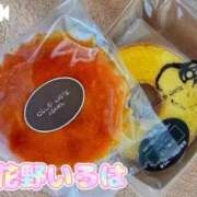 ヒメ日記 2026/01/07 15:10 投稿 花野いろは コウテイ