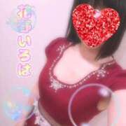 ヒメ日記 2026/01/11 12:05 投稿 花野いろは コウテイ