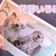 ヒメ日記 2026/01/11 15:05 投稿 花野いろは コウテイ