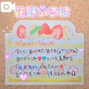 ヒメ日記 2026/01/13 09:15 投稿 花野いろは コウテイ