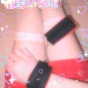 ヒメ日記 2026/01/29 20:06 投稿 花野いろは コウテイ