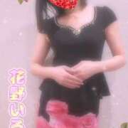 ヒメ日記 2026/02/05 12:15 投稿 花野いろは コウテイ