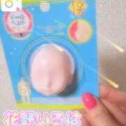 ヒメ日記 2026/02/08 15:20 投稿 花野いろは コウテイ