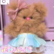 ヒメ日記 2026/02/09 15:05 投稿 花野いろは コウテイ