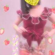 ヒメ日記 2026/02/11 12:08 投稿 花野いろは コウテイ