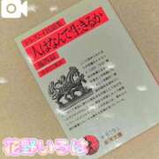 ヒメ日記 2026/02/11 15:20 投稿 花野いろは コウテイ