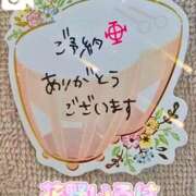 ヒメ日記 2026/02/19 11:49 投稿 花野いろは コウテイ
