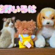 ヒメ日記 2026/02/21 15:16 投稿 花野いろは コウテイ