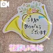 ヒメ日記 2026/02/22 10:17 投稿 花野いろは コウテイ