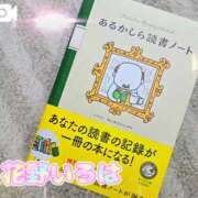 ヒメ日記 2026/02/23 15:09 投稿 花野いろは コウテイ