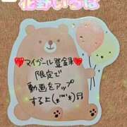 ヒメ日記 2026/03/04 13:05 投稿 花野いろは コウテイ