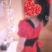 ヒメ日記 2026/04/23 09:15 投稿 花野いろは コウテイ