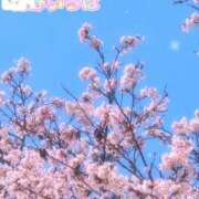 ヒメ日記 2026/04/25 15:05 投稿 花野いろは コウテイ