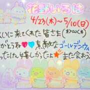 花野いろは 🩵ありがと💌 コウテイ