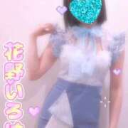 ヒメ日記 2026/07/23 12:20 投稿 花野いろは コウテイ