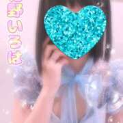 ヒメ日記 2026/07/26 12:15 投稿 花野いろは コウテイ