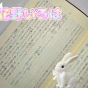 ヒメ日記 2026/08/20 15:15 投稿 花野いろは コウテイ