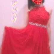 ヒメ日記 2026/09/20 12:14 投稿 花野いろは コウテイ